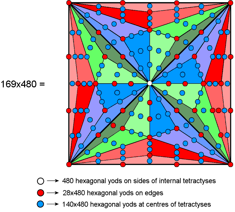 Type C square represents yods other than vertices in 421 polytope