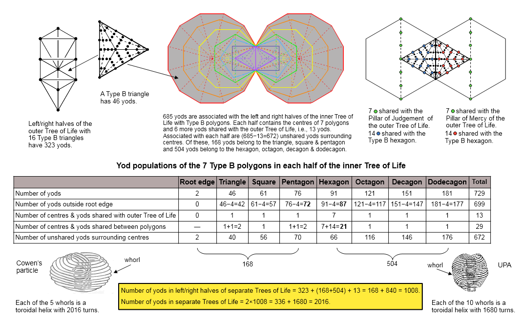 Outer and inner Trees of Life embody superstring parameters 1680 and 2016