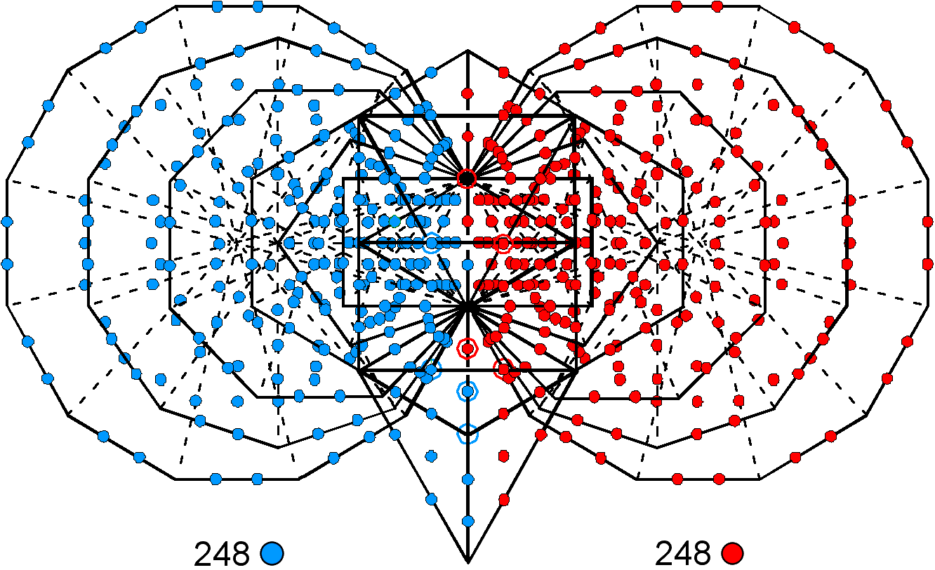 248+248 hexagonal yods symbolise 248+248 roots of E8xE8'