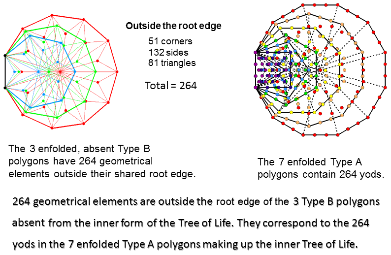 3 enfolded Type B polygons have 264 geometrical elements outside the root edge