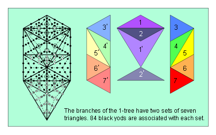 84 yods are associated with each set of 7 triangles in branches of 1-tree
