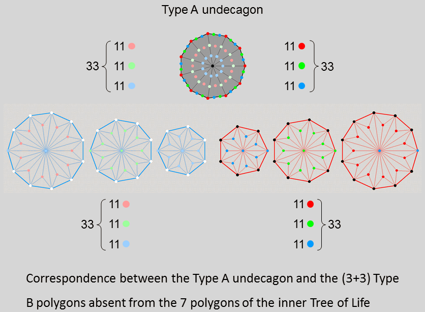 Correspondence between Type B undecagon and (3+3) Type B polygons