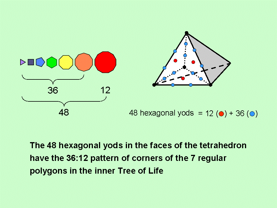 (36+12) pattern of hexagonal yods in tetrahedron and inner Tree of Life