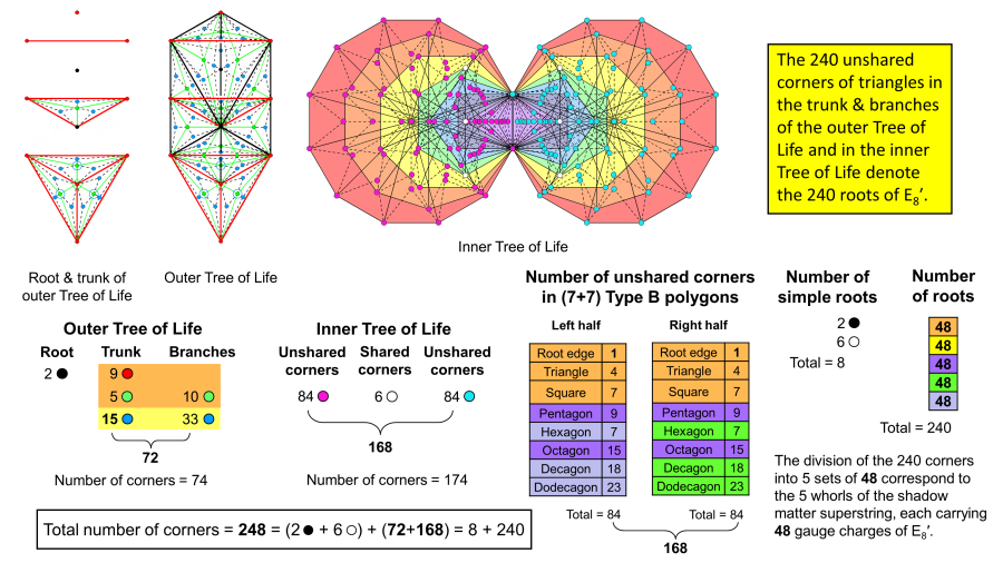 The 240 corners in the triangles of the outer & inner Trees of Life form 5 sets of 48 