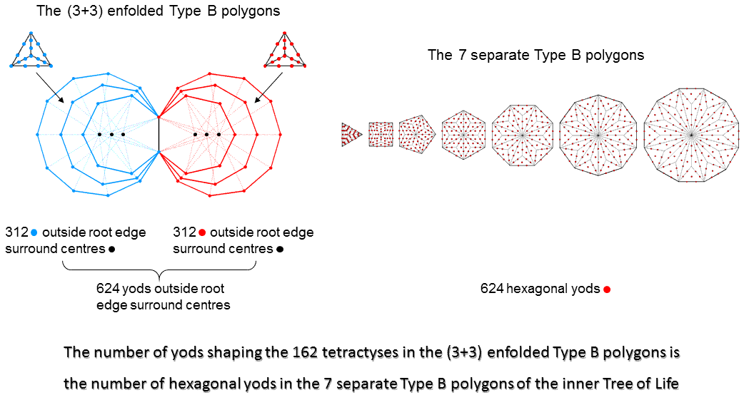 624 embodied in (3+3) enfolded polygons and 7 separate polygons