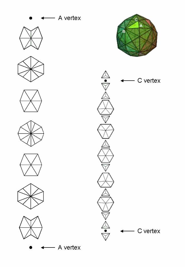 groups of 7 & 15 polygons in disdyakis triacontahedron