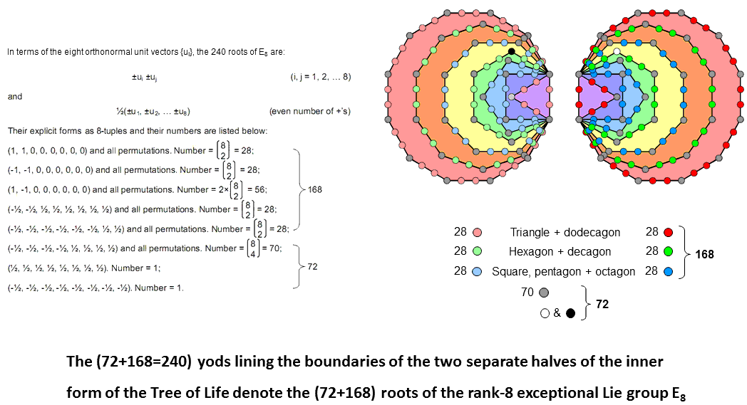 240 boundary yods denote 240 roots of E8