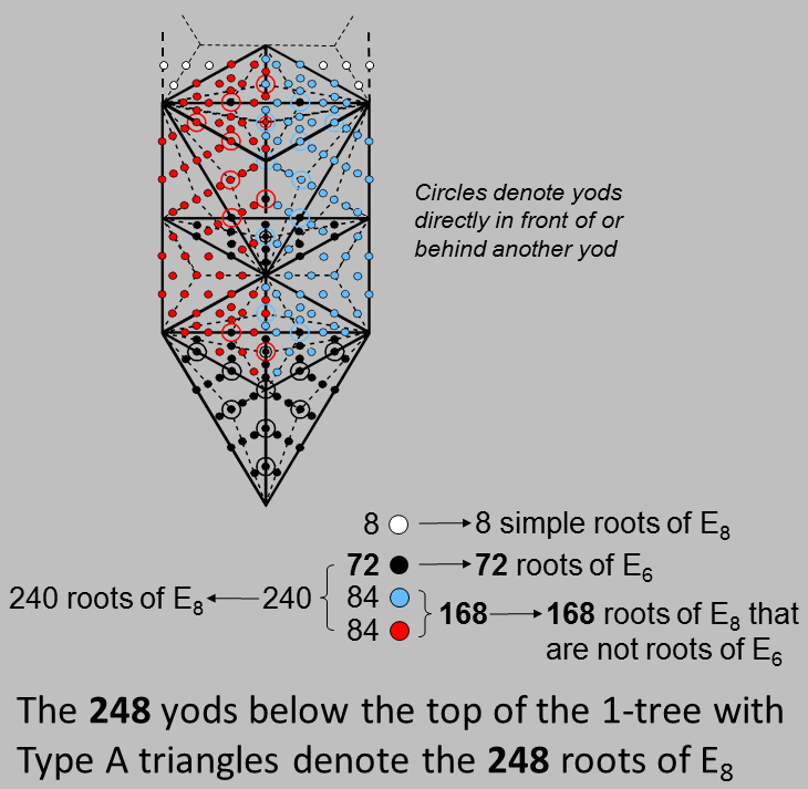 (8+72+168) yods below top of 1-tree