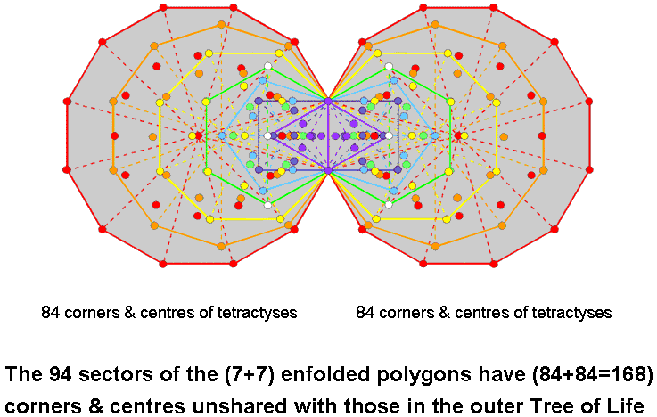 (84+84) unshared corners & centres of sectors of (7+7) enfolded polygons