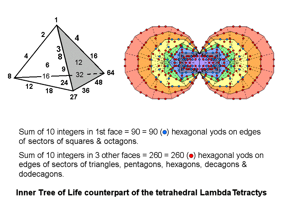 (90+260) division in tetrahedral Lambda & inner Tree of Life
