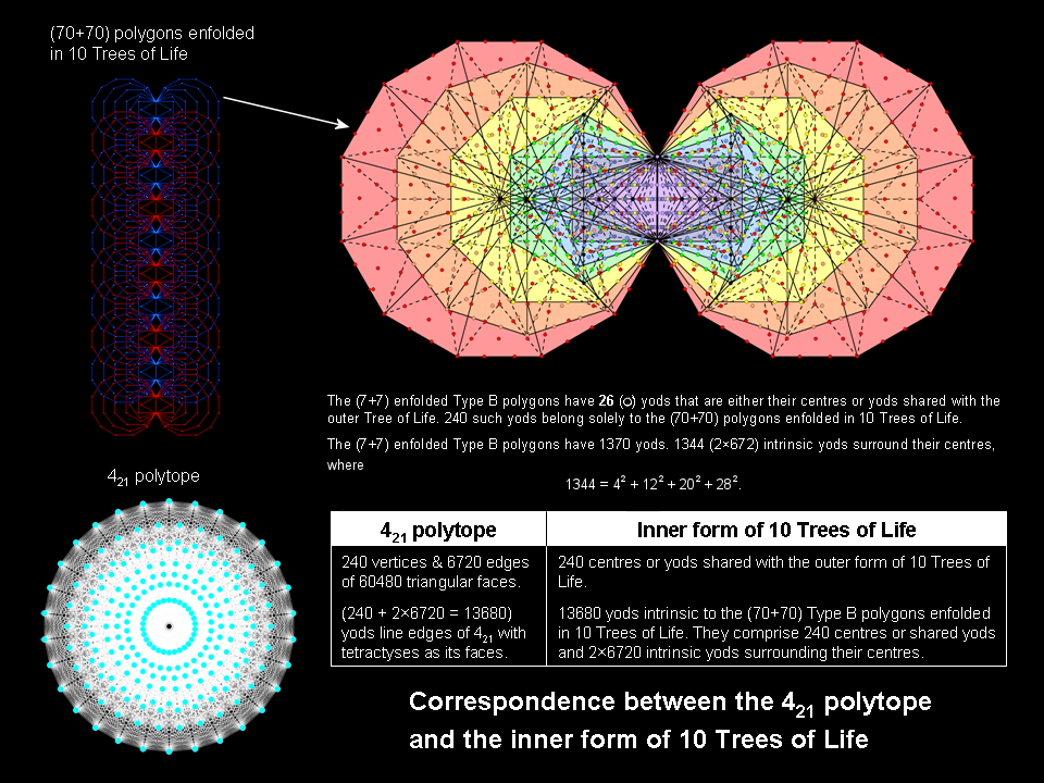 Comparison of inner form of 10 Trees of Life and 421 polytope