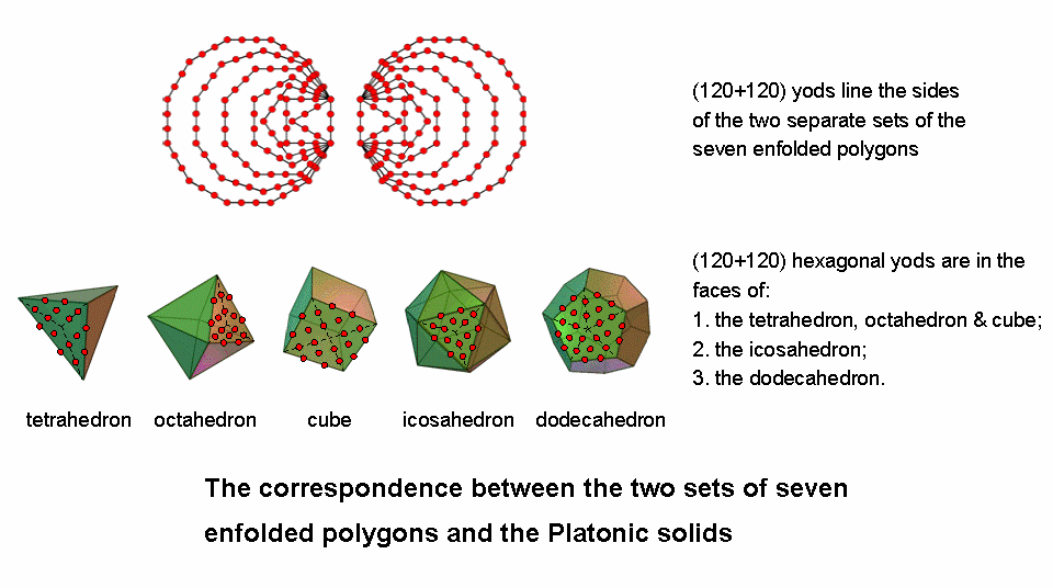 Correspondence between Platonic solids and two sets of seven enfolded polygons