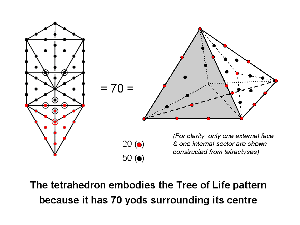 Correspondence between Tree of Life & tetrahedron