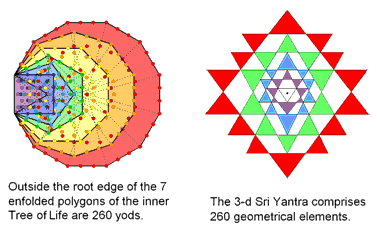 Inner Tree of Life and Sri Yantra embody the number 260