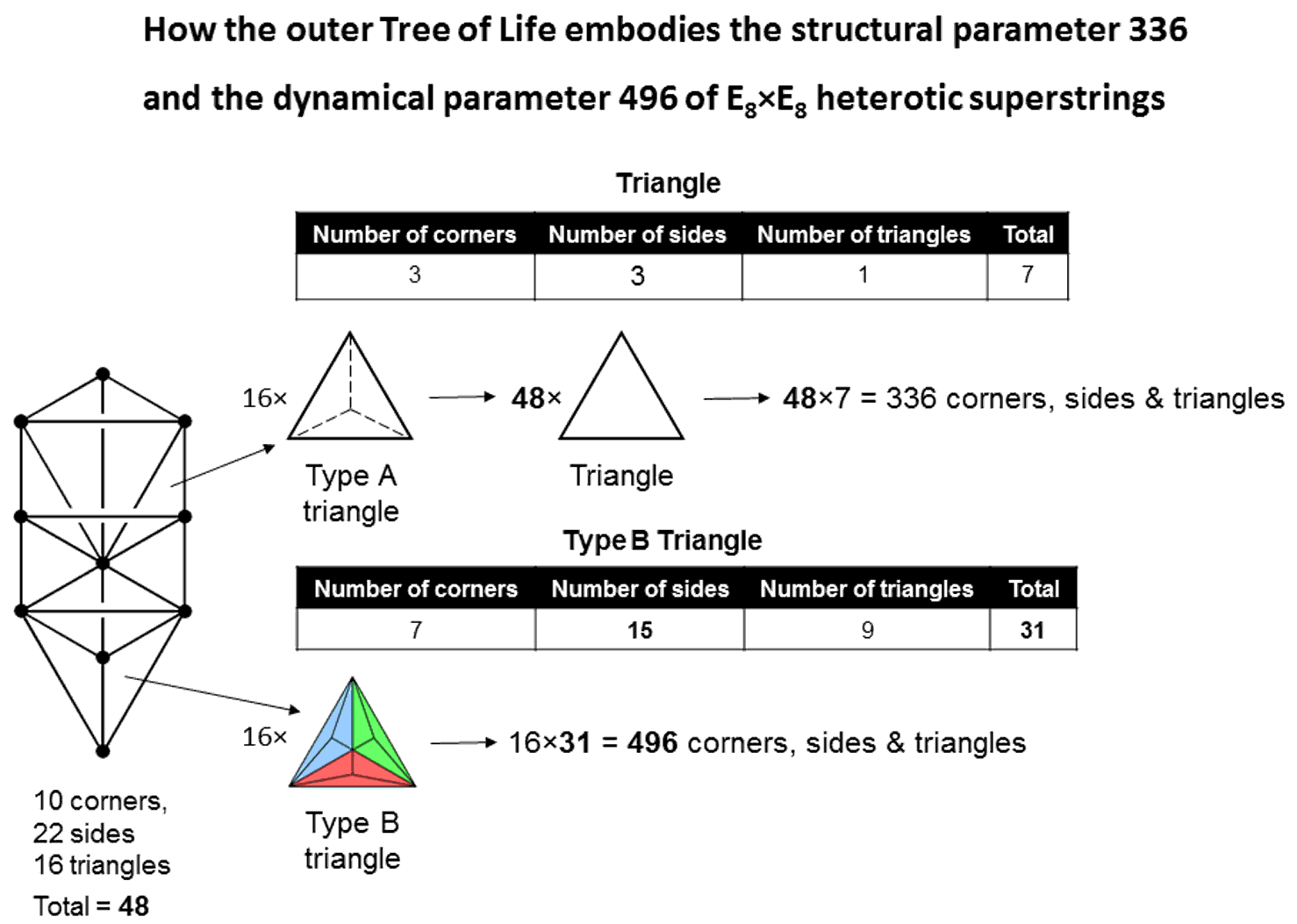 Outer Tree of Life embody superstring parameters 496 & 336