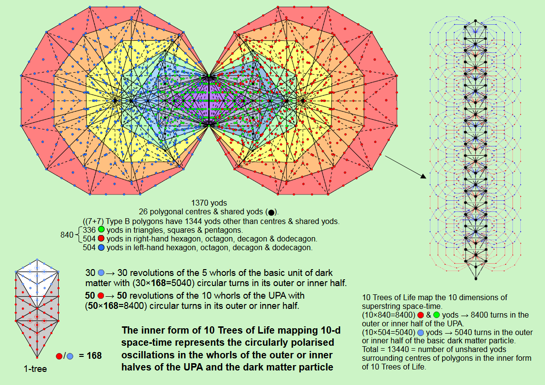 Inner form of 10 Trees represents halves of UPA and dark matter particle