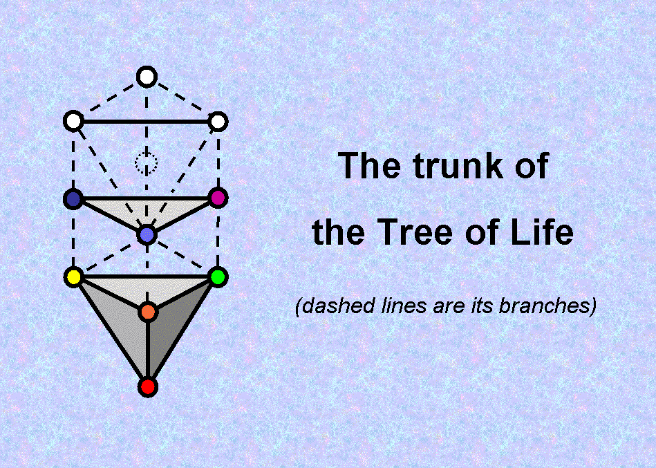 Trunk of the Tree of Life