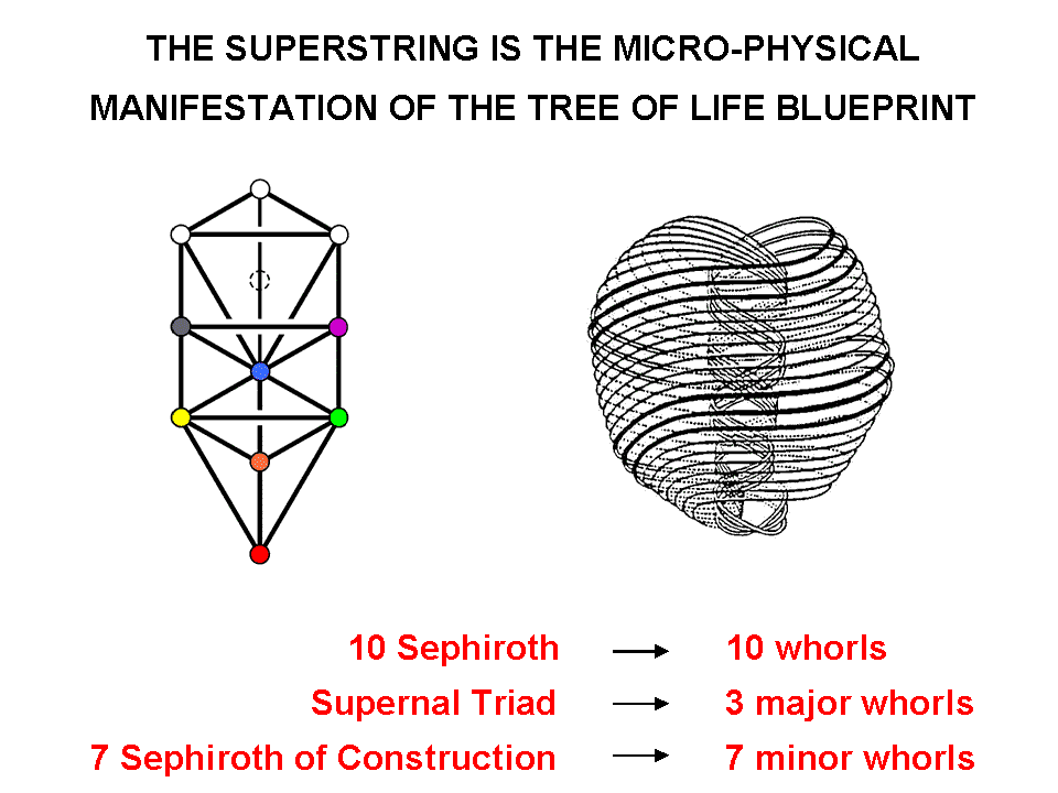 Superstring as Tree of Life