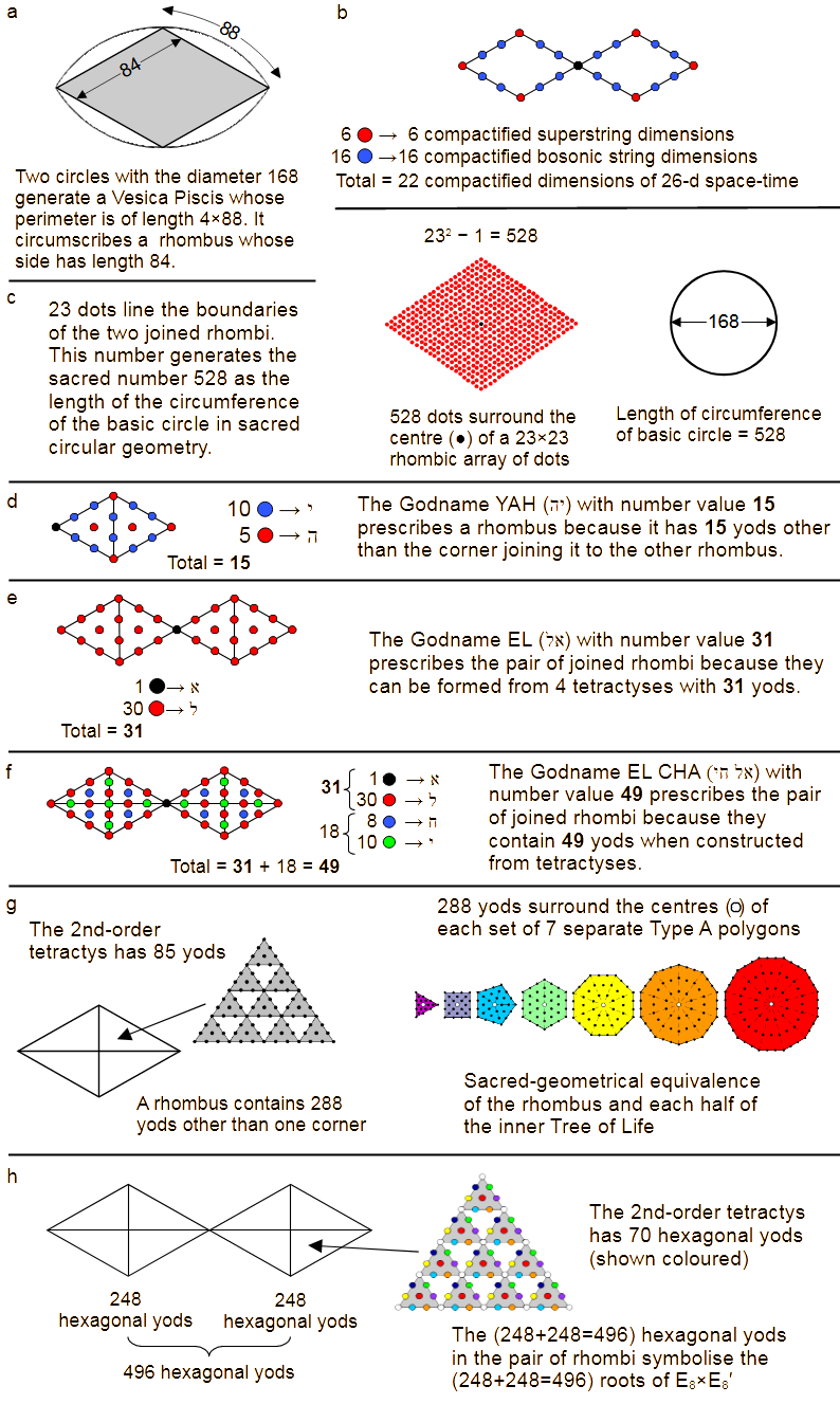 Two joined rhombi as representation of two halves of inner Tree