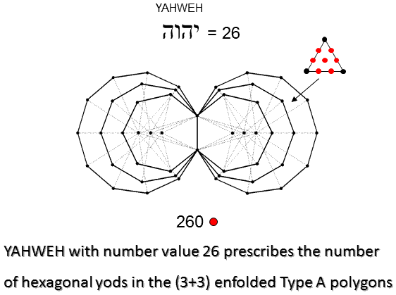 YAHWEH prescribes the 260 hexagonal yods in the (3+3) enfolded Type A polygons
